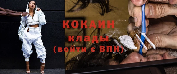хмурый Белокуриха