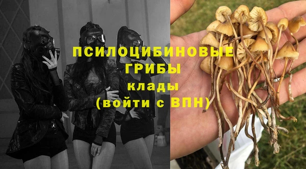 хмурый Белокуриха