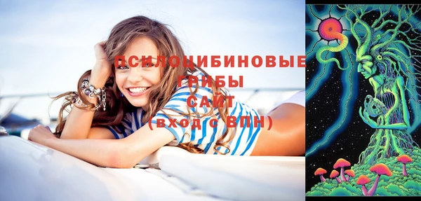 хмурый Белокуриха