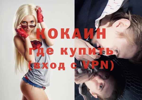 хмурый Белокуриха