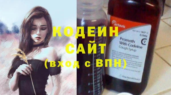 хмурый Белокуриха