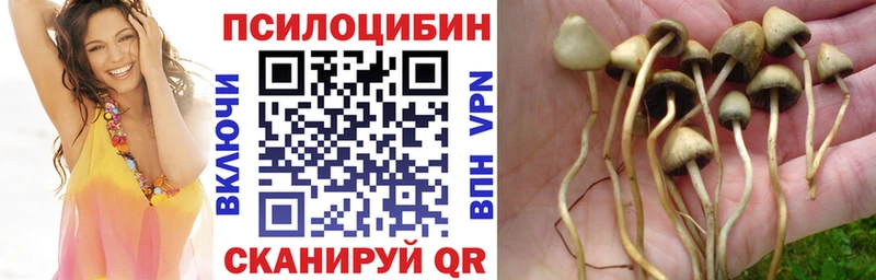 omg вход  Буйнакск  Галлюциногенные грибы мицелий 
