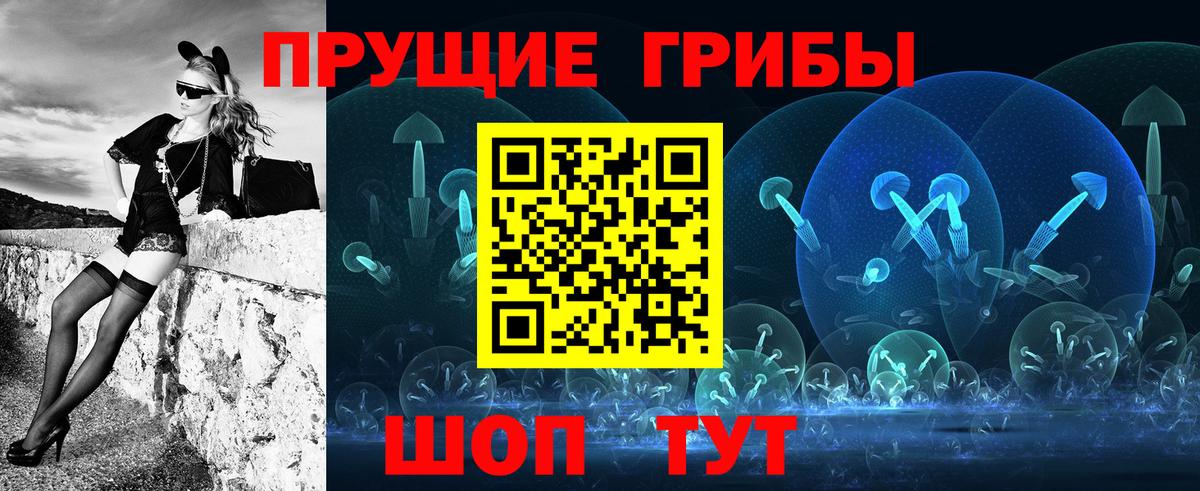 Буйнакск  Псилоцибиновые грибы Psilocybe  Вход с VPN 