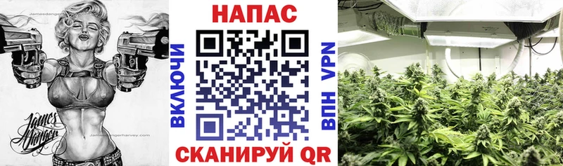 МАРИХУАНА индика Буйнакск